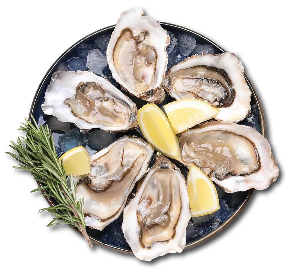 A round platter of freshly shucked oysters arranged on crushed ice, garnished with lemon wedges and a sprig of rosemary, photographed from above against a clean background.
