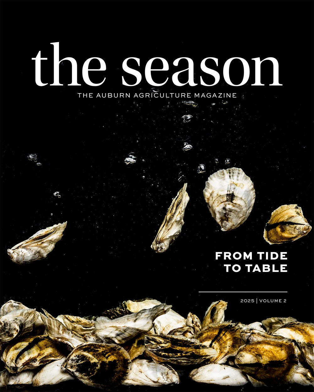 The Season Volume 2 Cover