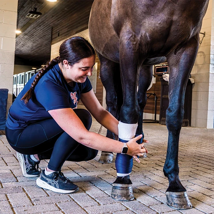 A male instructor stands at the front of a classroom, gesturing while speaking to seated students, with a whiteboard behind him and students partially visible in the foreground.