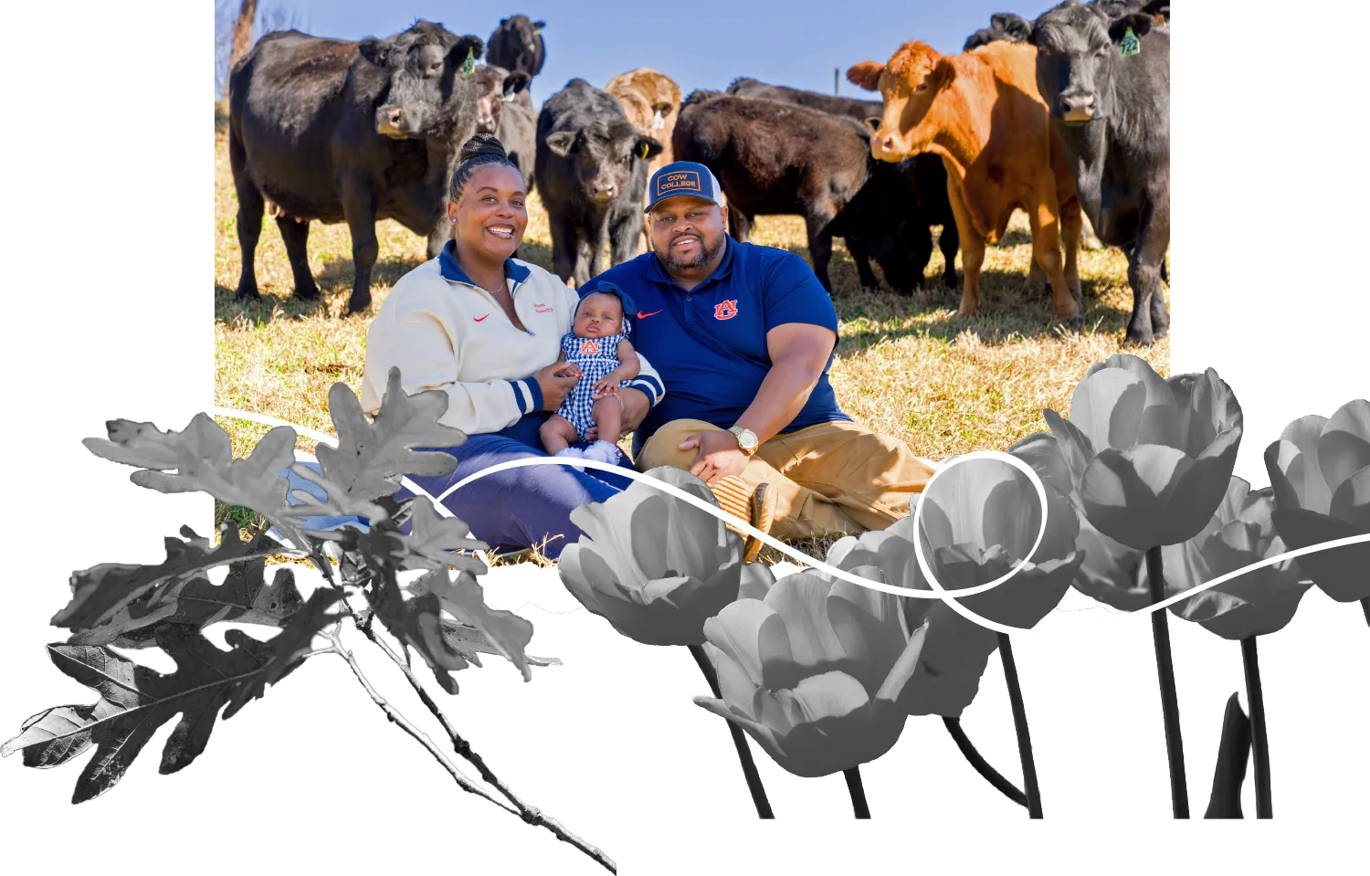 A graphic collage of a family with a baby sitting in a sunny pasture with cattle, bordered by black-and-white drawings of tulips.